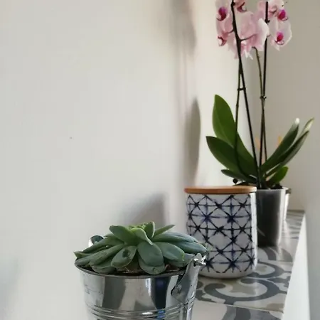 Lägenhet Carso 10 *