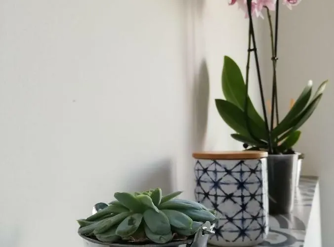 Appartement Carso 10 *